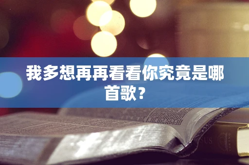 我多想再再看看你究竟是哪首歌？