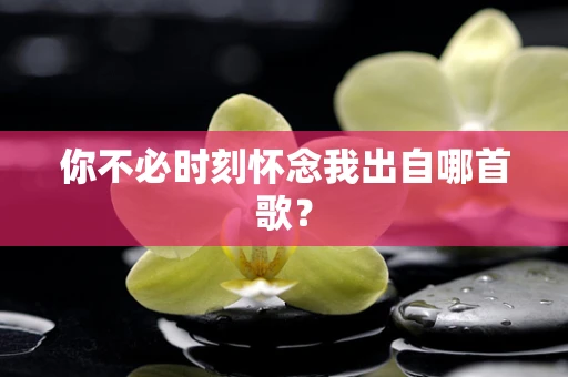 你不必时刻怀念我出自哪首歌？
