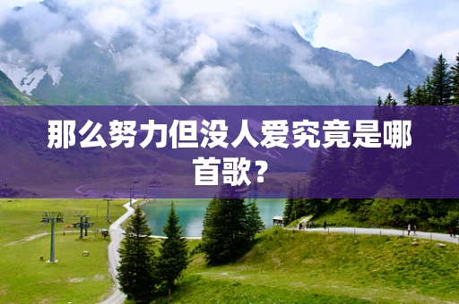 那么努力但没人爱究竟是哪首歌？