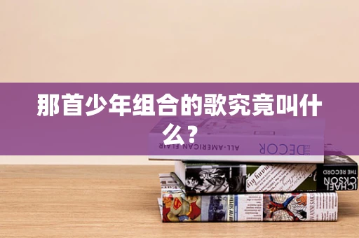 那首少年组合的歌究竟叫什么？