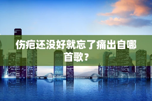 伤疤还没好就忘了痛出自哪首歌？