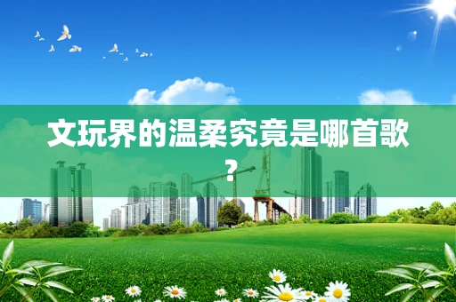 文玩界的温柔究竟是哪首歌？