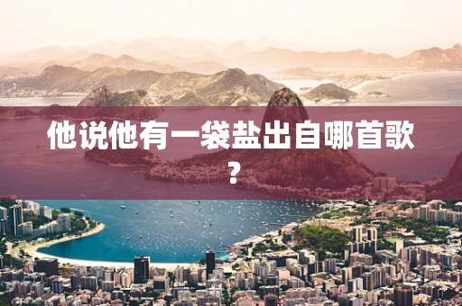他说他有一袋盐出自哪首歌？