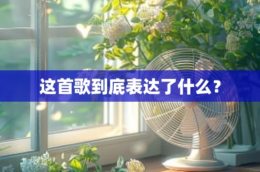 这首歌到底表达了什么？