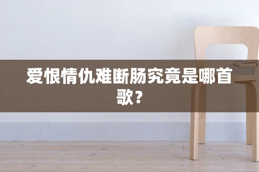 爱恨情仇难断肠究竟是哪首歌？