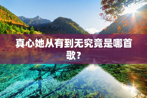 真心她从有到无究竟是哪首歌？