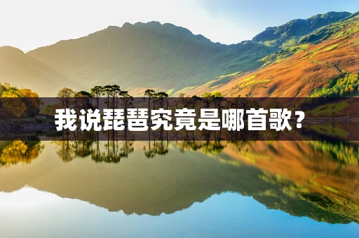 我说琵琶究竟是哪首歌？