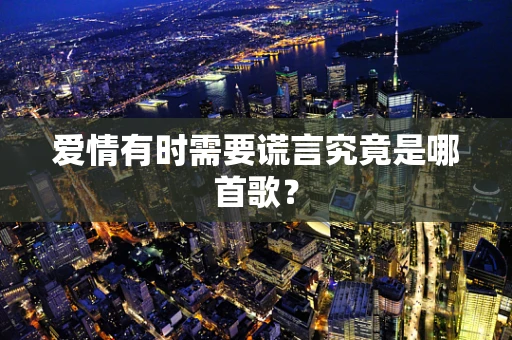 爱情有时需要谎言究竟是哪首歌？