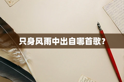 只身风雨中出自哪首歌？