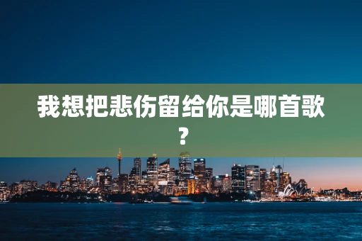 我想把悲伤留给你是哪首歌？
