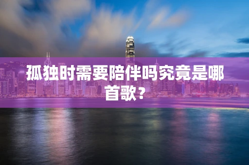 孤独时需要陪伴吗究竟是哪首歌？