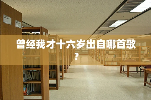 曾经我才十六岁出自哪首歌？