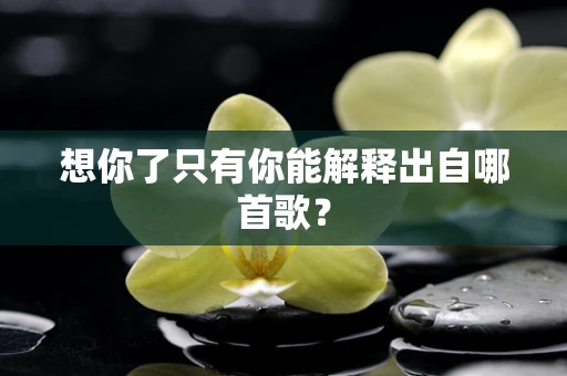 想你了只有你能解释出自哪首歌？