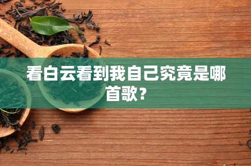 看白云看到我自己究竟是哪首歌？