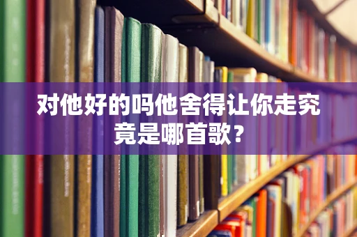 对他好的吗他舍得让你走究竟是哪首歌？