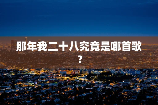 那年我二十八究竟是哪首歌？