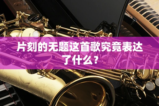 片刻的无题这首歌究竟表达了什么？