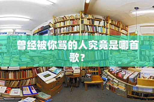 曾经被你骂的人究竟是哪首歌？