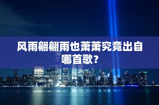 风雨翩翩雨也萧萧究竟出自哪首歌？