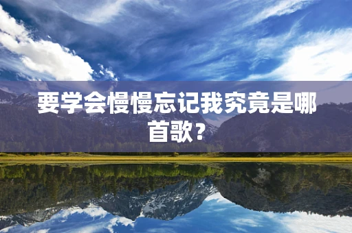 要学会慢慢忘记我究竟是哪首歌？