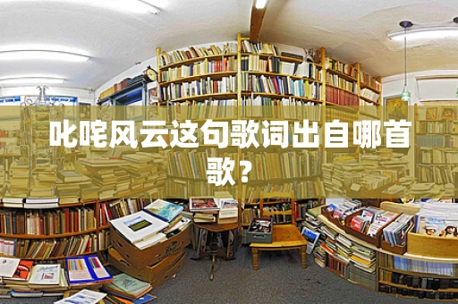 叱咤风云这句歌词出自哪首歌？