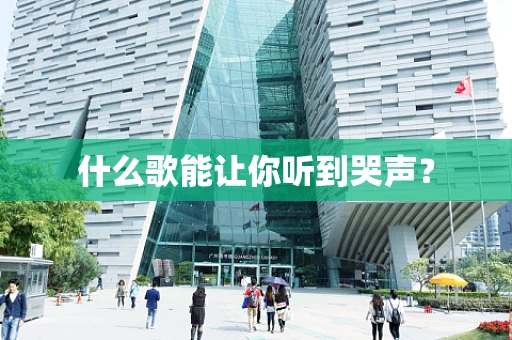 什么歌能让你听到哭声？