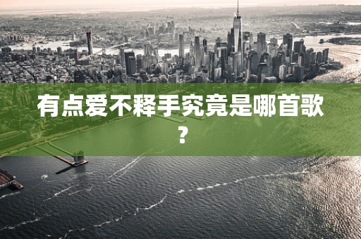 有点爱不释手究竟是哪首歌？