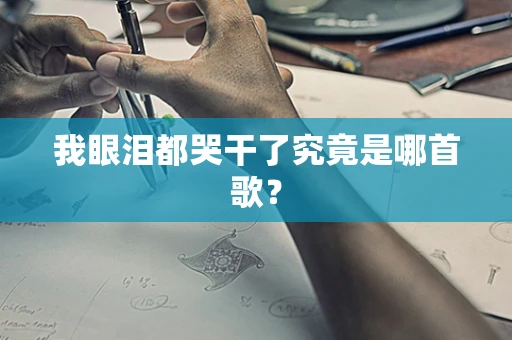 我眼泪都哭干了究竟是哪首歌？