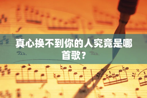 真心换不到你的人究竟是哪首歌？