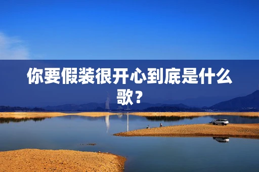 你要假装很开心到底是什么歌？