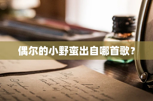 偶尔的小野蛮出自哪首歌？