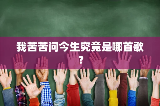 我苦苦问今生究竟是哪首歌？