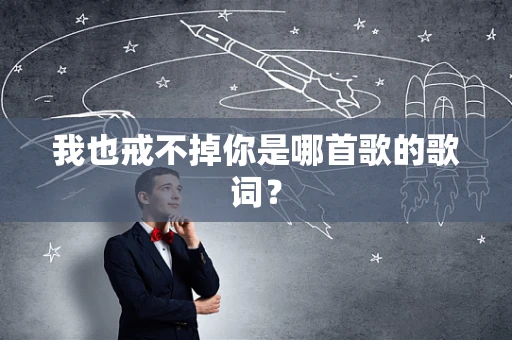 我也戒不掉你是哪首歌的歌词？