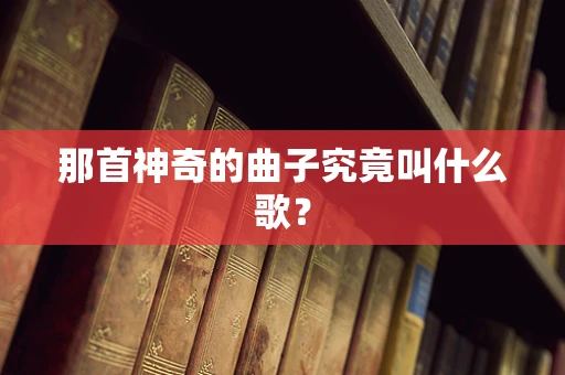 那首神奇的曲子究竟叫什么歌？