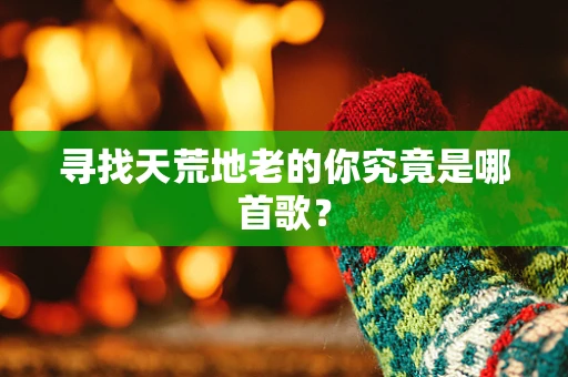 寻找天荒地老的你究竟是哪首歌？