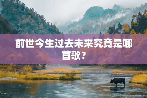 前世今生过去未来究竟是哪首歌？