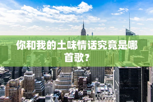 你和我的土味情话究竟是哪首歌？