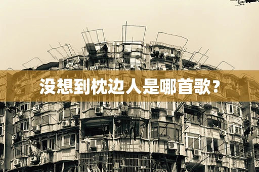 没想到枕边人是哪首歌？
