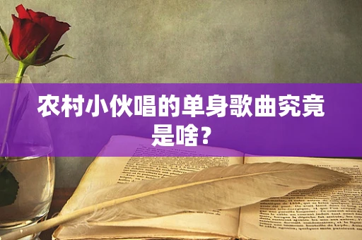 农村小伙唱的单身歌曲究竟是啥？