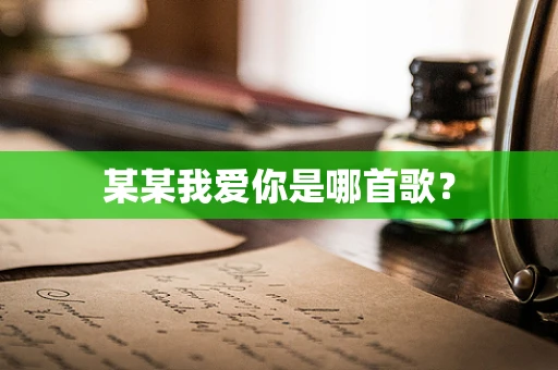 某某我爱你是哪首歌？