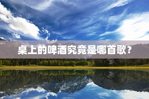 桌上的啤酒究竟是哪首歌？