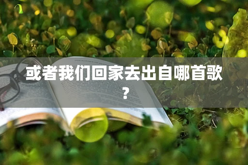 或者我们回家去出自哪首歌？