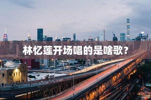 林忆莲开场唱的是啥歌？