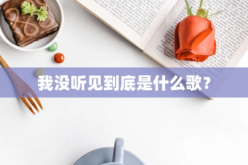 我没听见到底是什么歌？