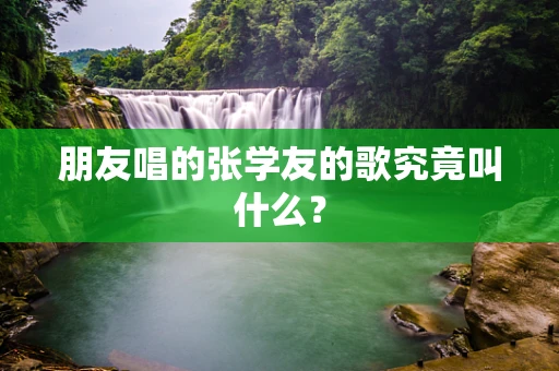 朋友唱的张学友的歌究竟叫什么？