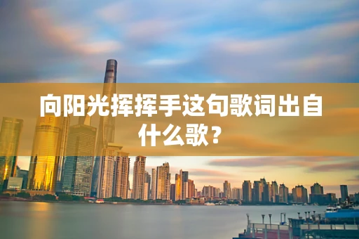 向阳光挥挥手这句歌词出自什么歌？