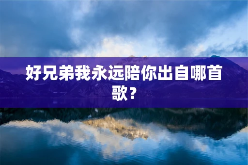 好兄弟我永远陪你出自哪首歌？