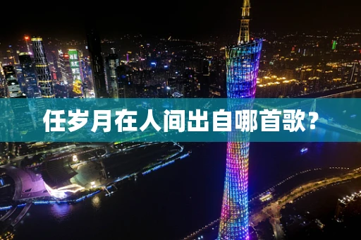 任岁月在人间出自哪首歌？