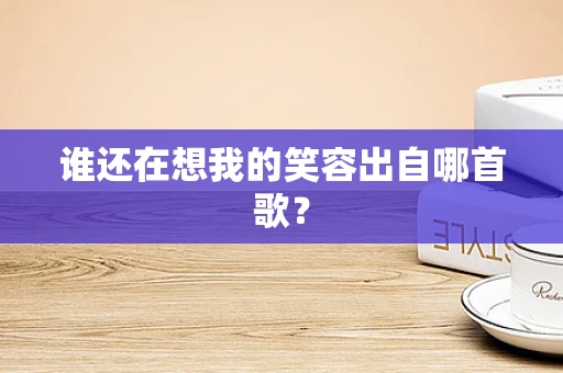 谁还在想我的笑容出自哪首歌？