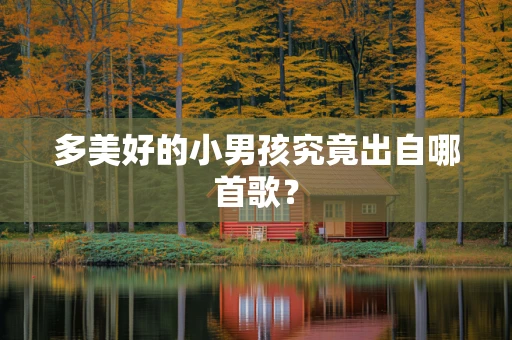 多美好的小男孩究竟出自哪首歌？